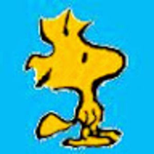 Meet your Posher, Lena